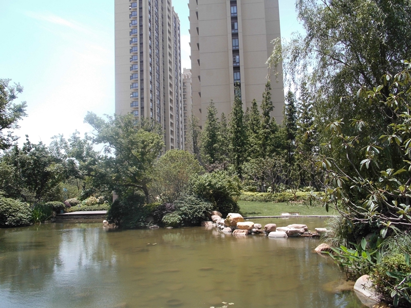 苏州雅戈尔太阳城二期项目南区景观绿化工程