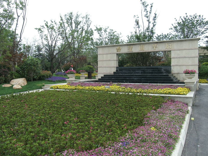 青岛星雨华府