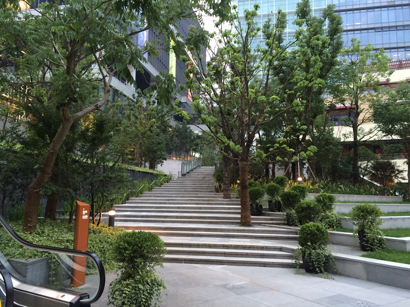 上海虹桥商务区核心区（一期）06地块D17街坊项目