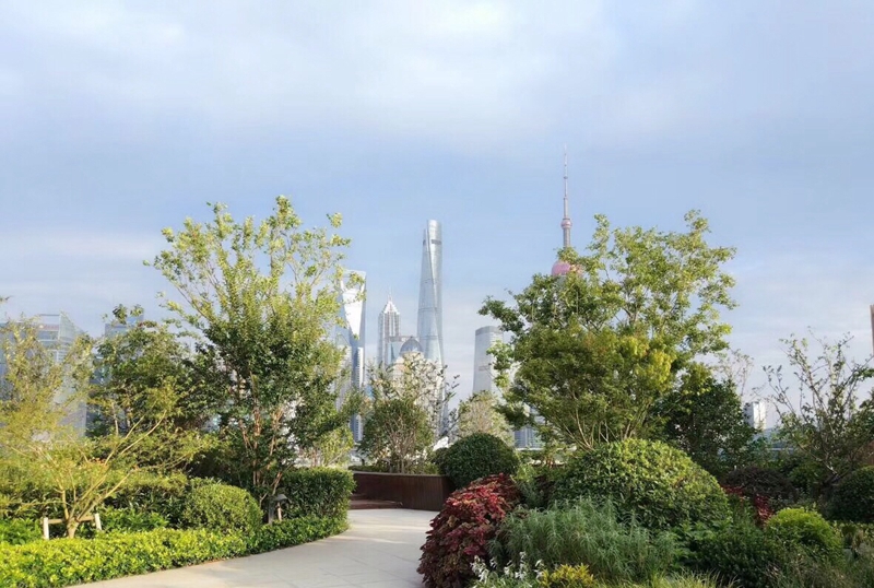 北外滩白玉兰广场