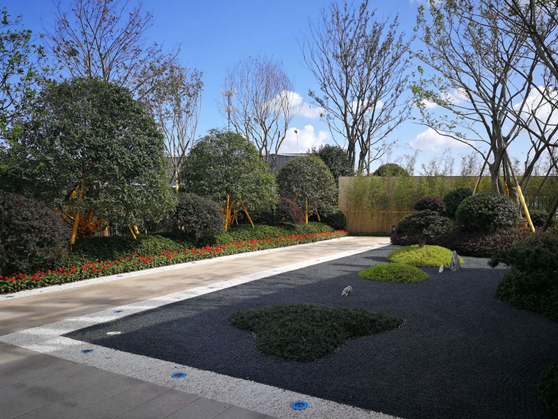 保集瑞府施工照片