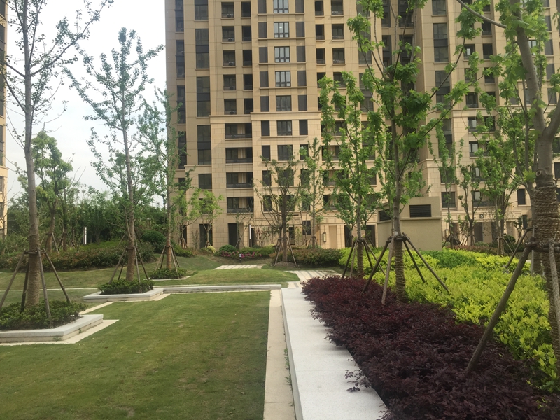 耀华地区16-1、19-1地块公共租赁住房项目